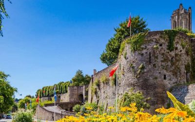 Bienvenue chez Patrimonéo – Votre expert en gestion de patrimoine à Saint-Lô