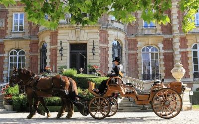 Chez Patrimoneo : Votre partenaire en gestion de patrimoine à L’Aigle