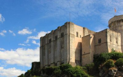 Bienvenue chez Patrimonéo – Votre expert en assurance à Falaise